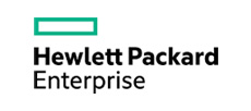 HP enterprise logo partner