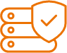 Custom IT Solutions
