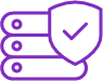 Custom IT Solutions